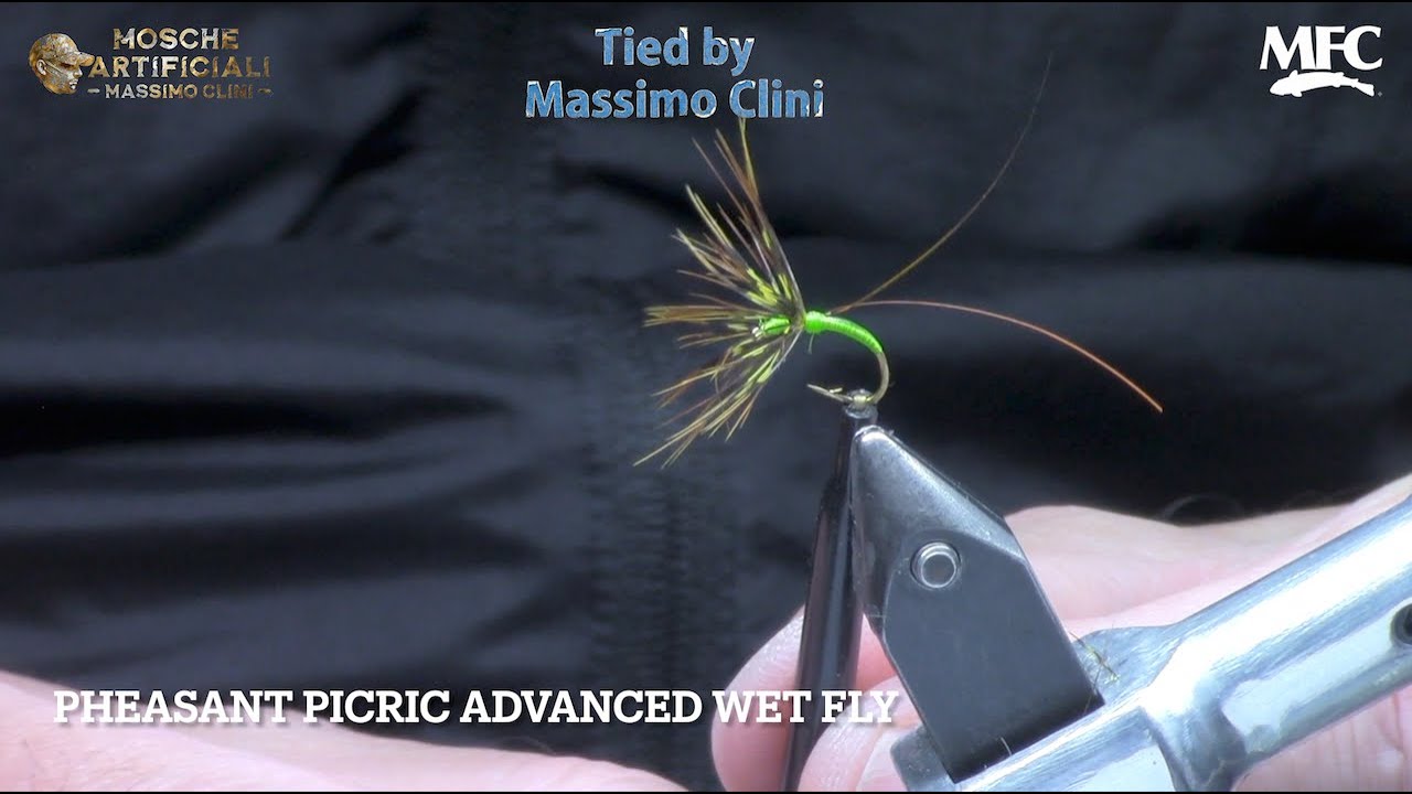 Costruzione Pheasant Picric Advanced | La Sommersa con Hackle Inversa