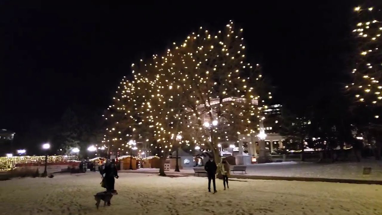 Civic Center Park Holiday Lights 2020