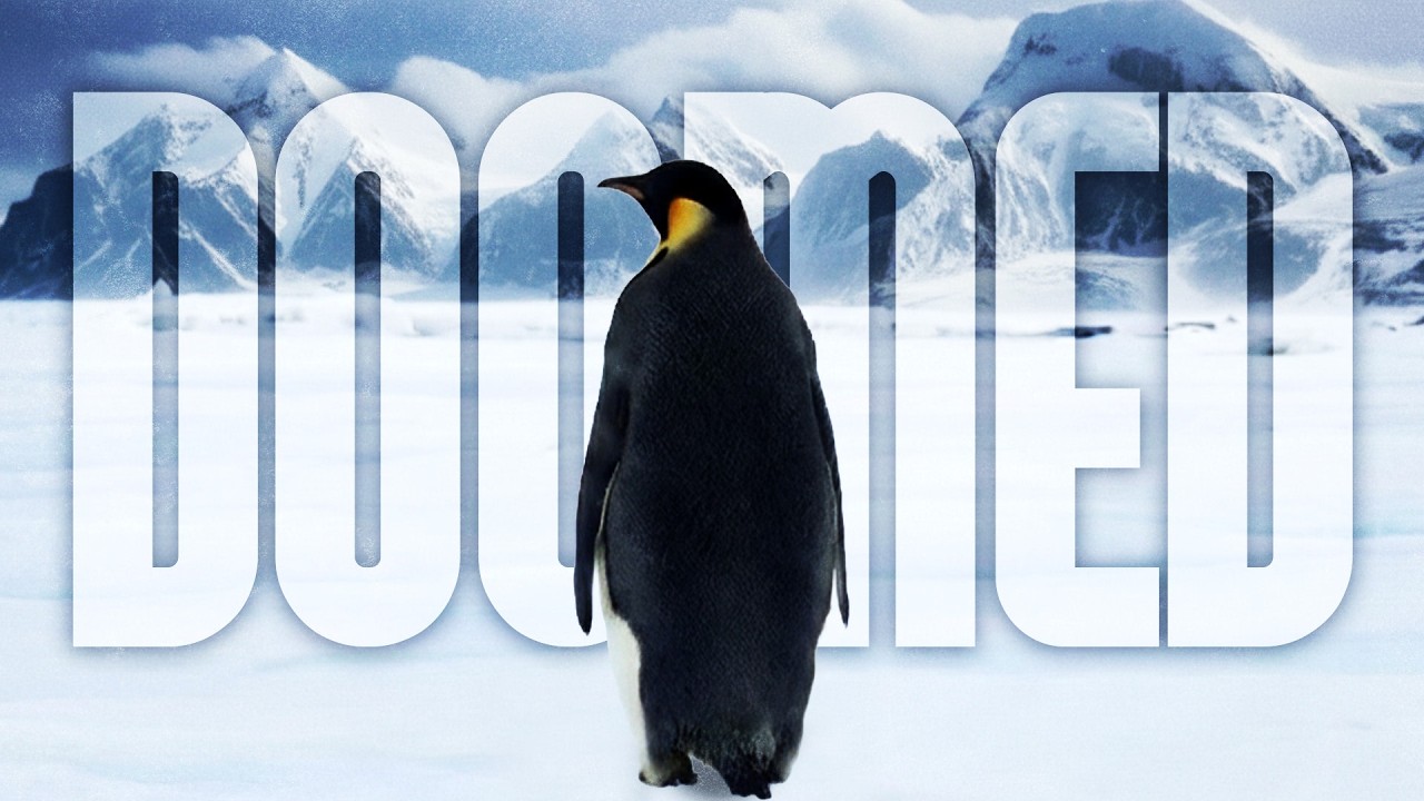 Why Penguins Have The Hardest Lives On Earth
