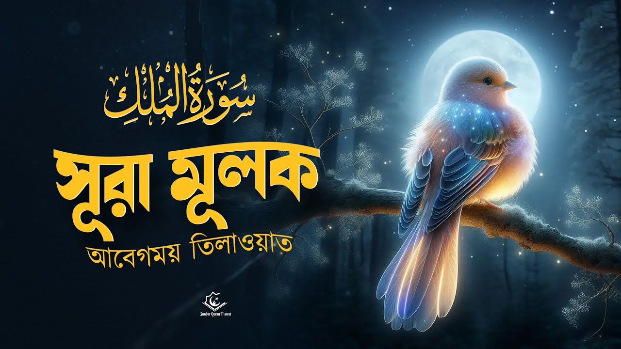সূরা আল মূলক سورة الملك‎ । সুরেলা কুরআন তেলাওয়াত। Healing Surah Al-Mulk by Mansoor Ghaznawi