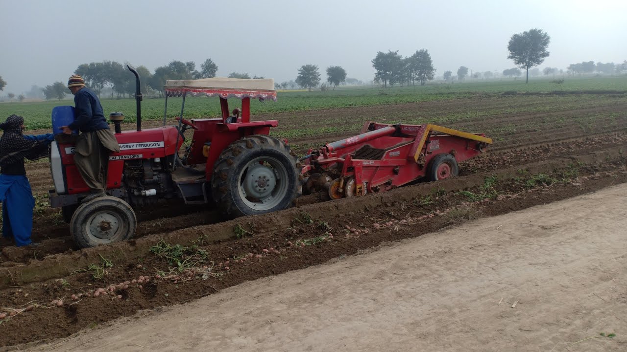 (Digger) Aalu nikaalne wali machine|Potato extraction machine