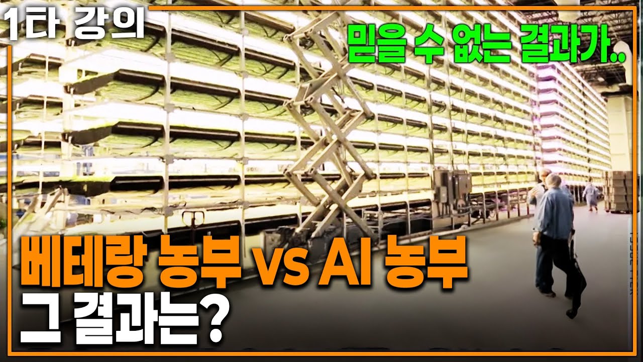 수십 년 동안 오이만 기른 농부, AI와 오이 재배 대결 시켰더니 | KBS 20230312 방송