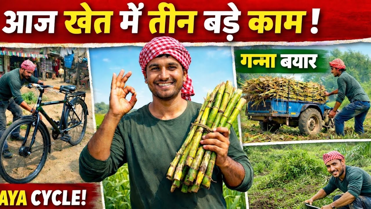 एक दिन में 3 काम! 🚲 साइकिल बनवाने गए, गन्ना बयार और मिर्च की निराई | गांव का किसान