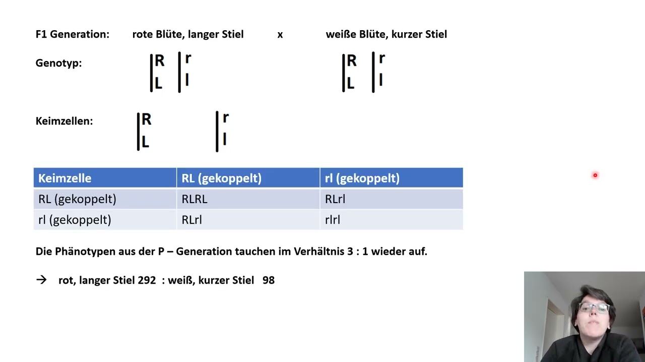 31Übungsaufgabe Genkopplung
