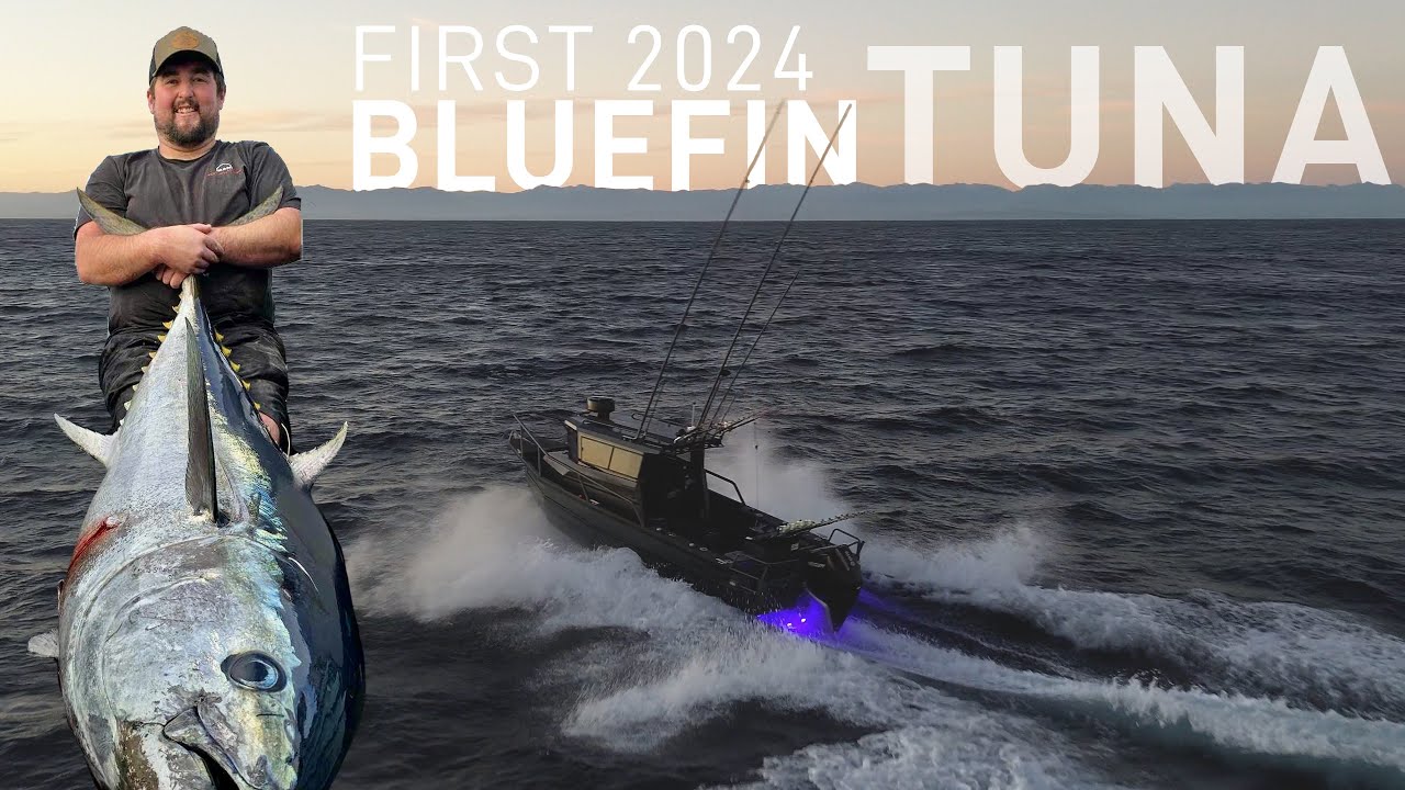 FIRST 2024 BLUEFIN TUNA - Greymouth, New Zealand
