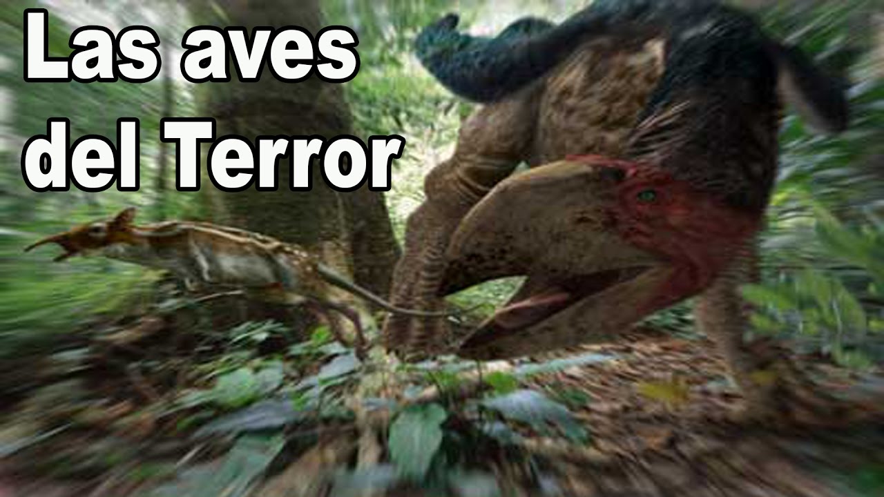Las AVES DEL TERROR y su Extinción