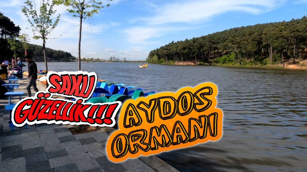 Hafta sonu Kartal'daki Oksijen deposu AYDOS ORMANI'nındaydık , İstanbul TÜRKİYE