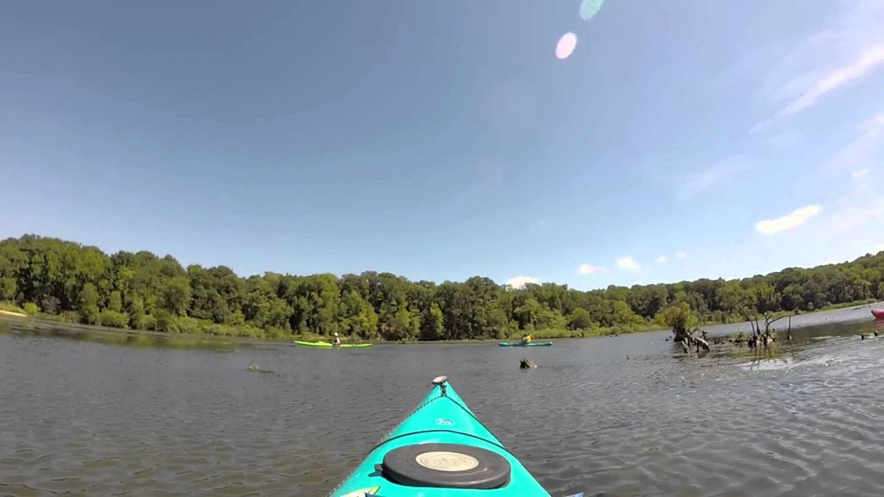 Mallows Bay August 2015