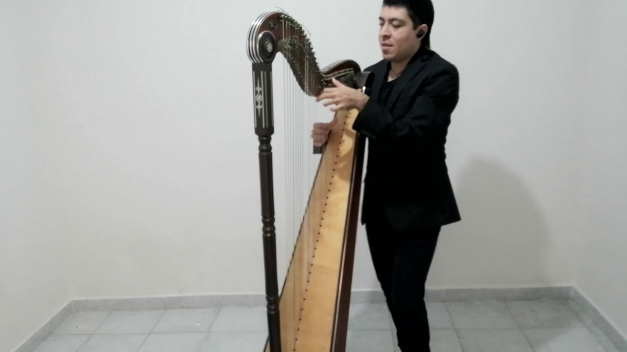 Hotel California by Eagles //Edgar Aguilar Castillo cover (Versión Instrumental Acústica con Arpa).