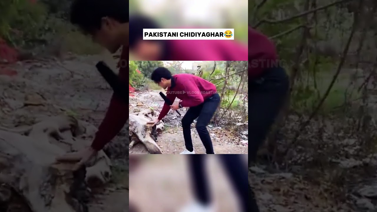 Pakistani zoo 🐘🐼🐯 😂 #shorts #memes #proudindian