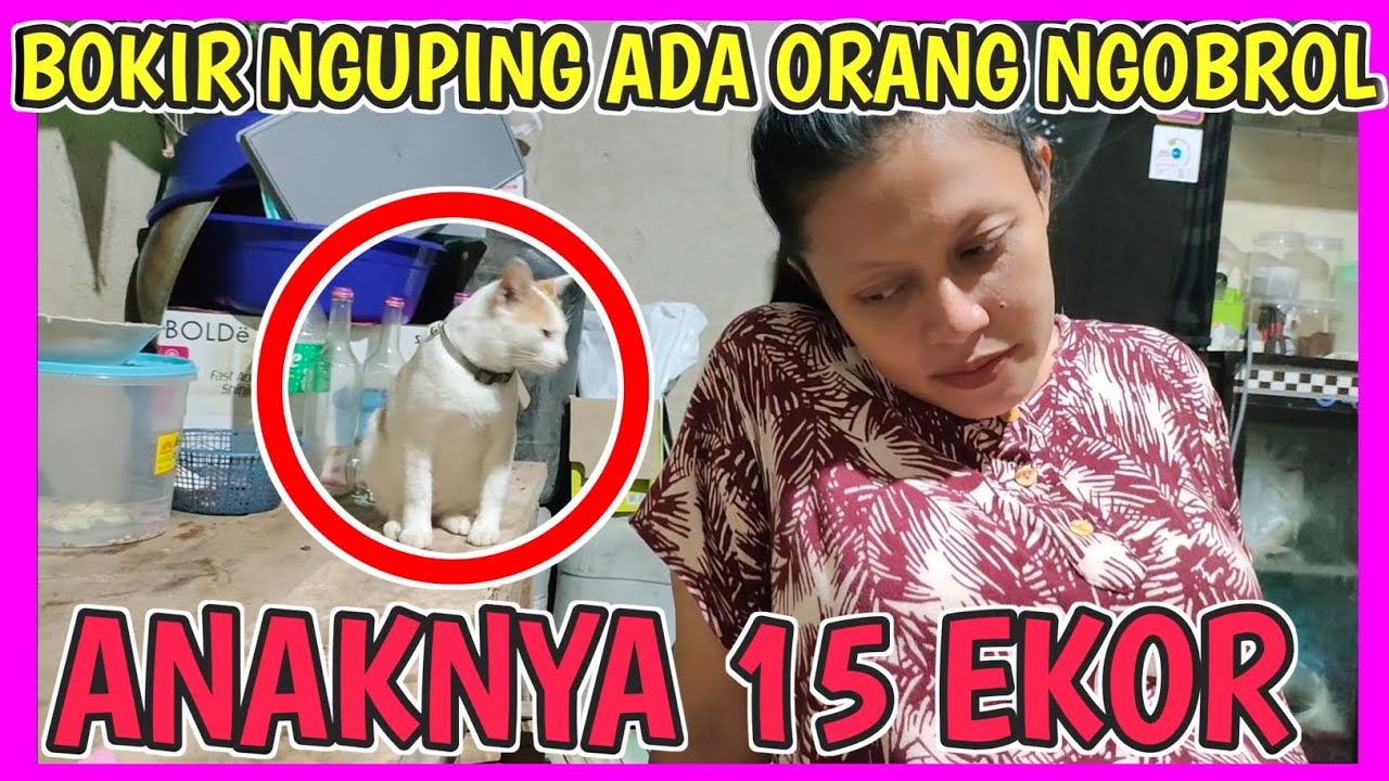 Topiknya sibokir sama si wedok 