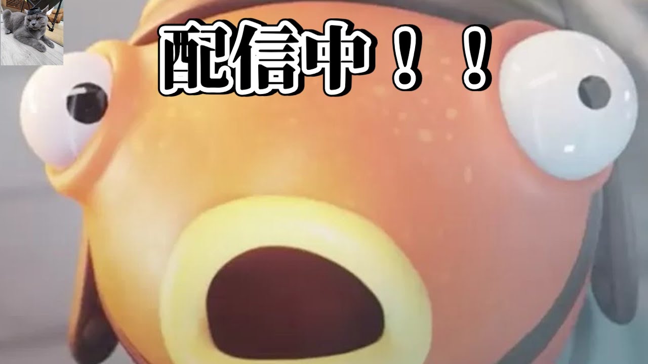 tkフィッシュ！！見に来て！！