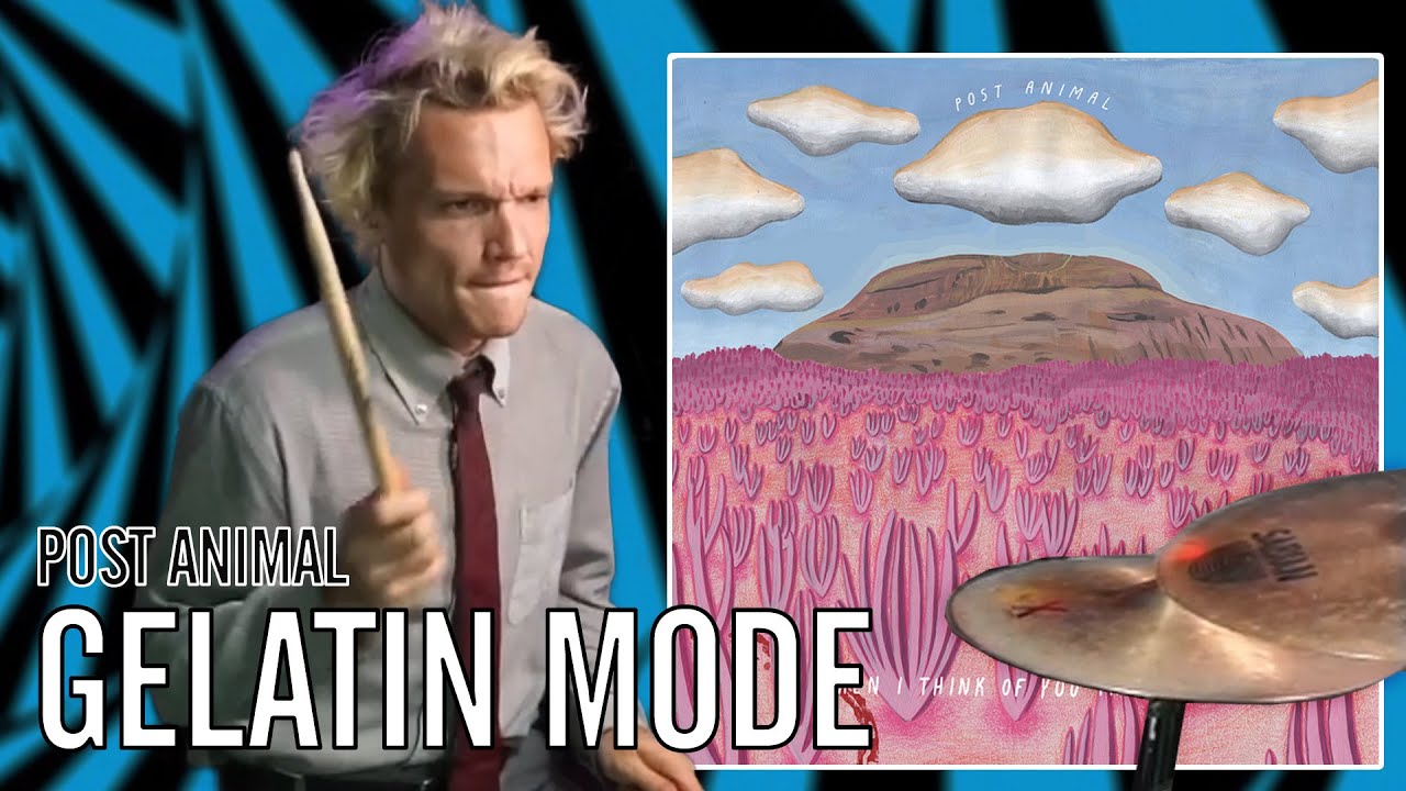Post Animal - Gelatin Mode | Office Drummer [First Time Hearing]