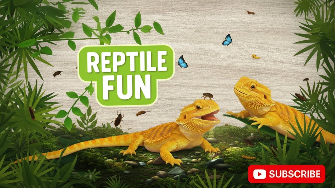 Bearded Dragon TV for Pets | Crawling Bugs and Insects Video | Cat TV 4K