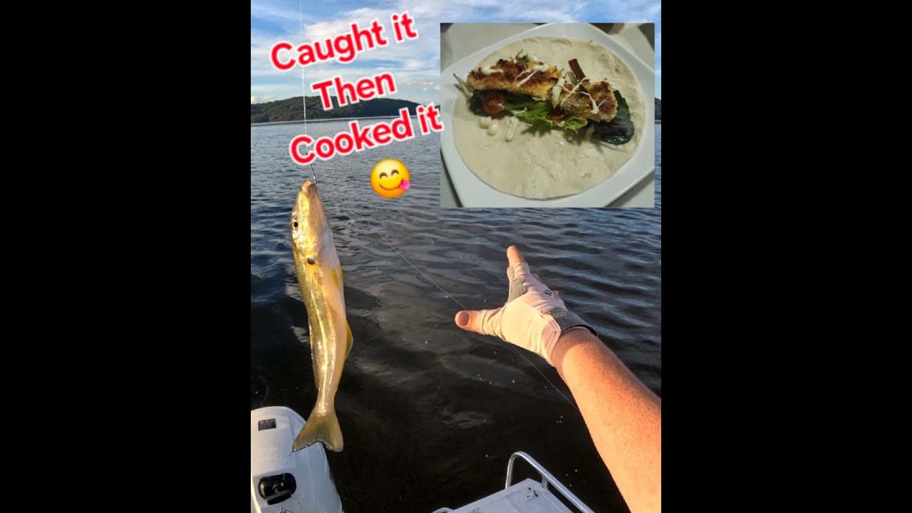 Port Stephens Whiting fishing