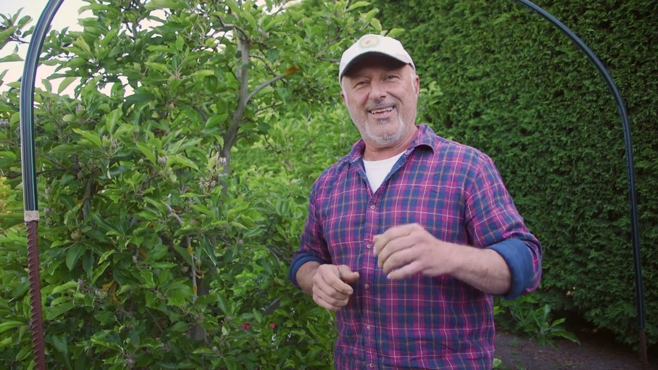 Tips to control codling moth and protect your fruit trees