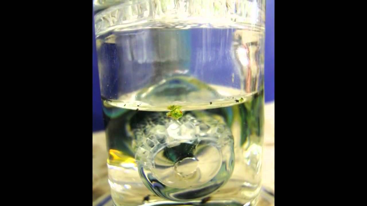 DWB Glass 2011- Experimental 