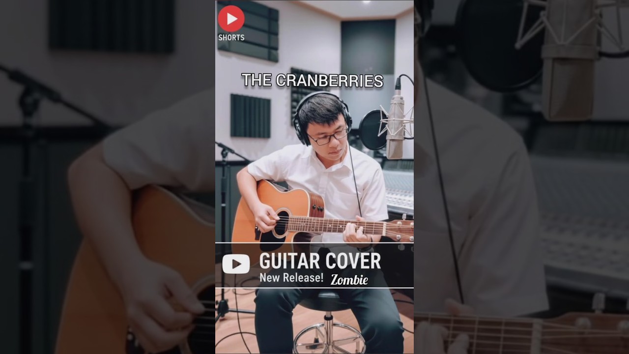 THE CRANBERRIES ZOMBIE 🔥 COVER 