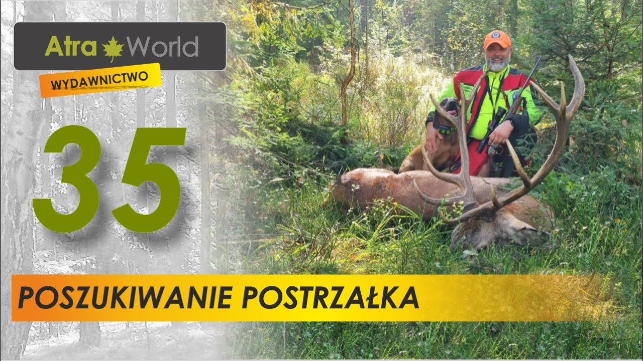 Poszukiwanie postrzałka