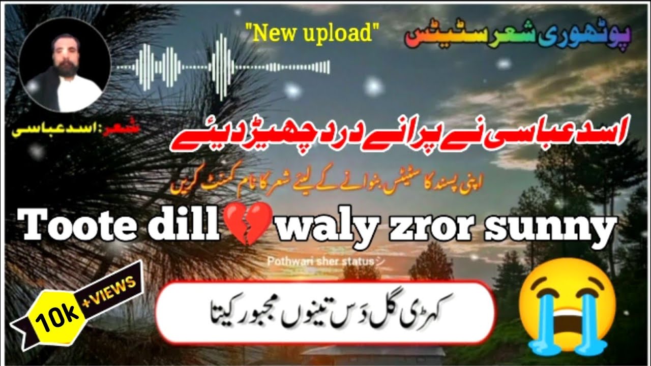Asad abbasi pothwari sher | Kehri gal das tenu majbor kita #Asadabbasi #Whatsappstatus #Pothwarisher