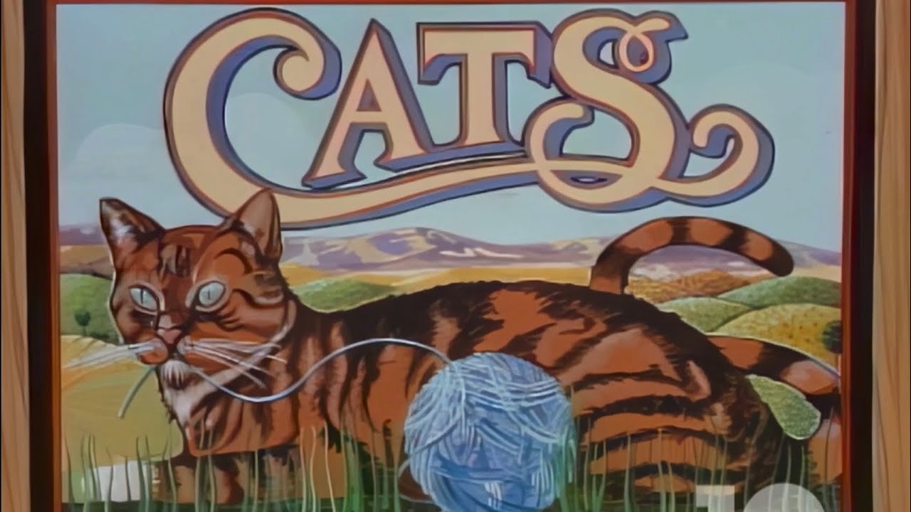 TPIR: Cats with Hidden Places for Money