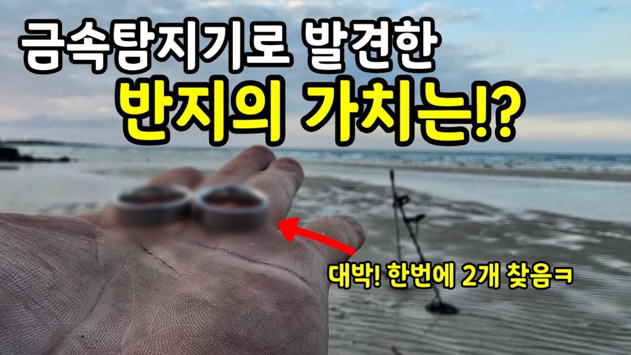 제주도에서 금속탐지! 반지가 쏟아지네요! ㅎㄷㄷ