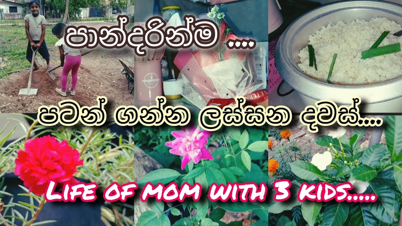 🌿උදේ පාන්දර වලං මැදින්  වැලන්ටයින්😋දවස් ගෙවෙන ඉක්මණ නේද?.#mom#lifestyle #🌿