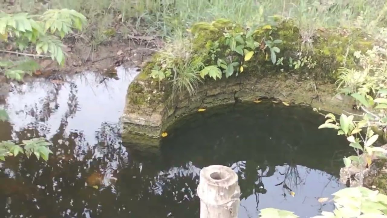 Cikal bakal desa Brumbung jepon Blora