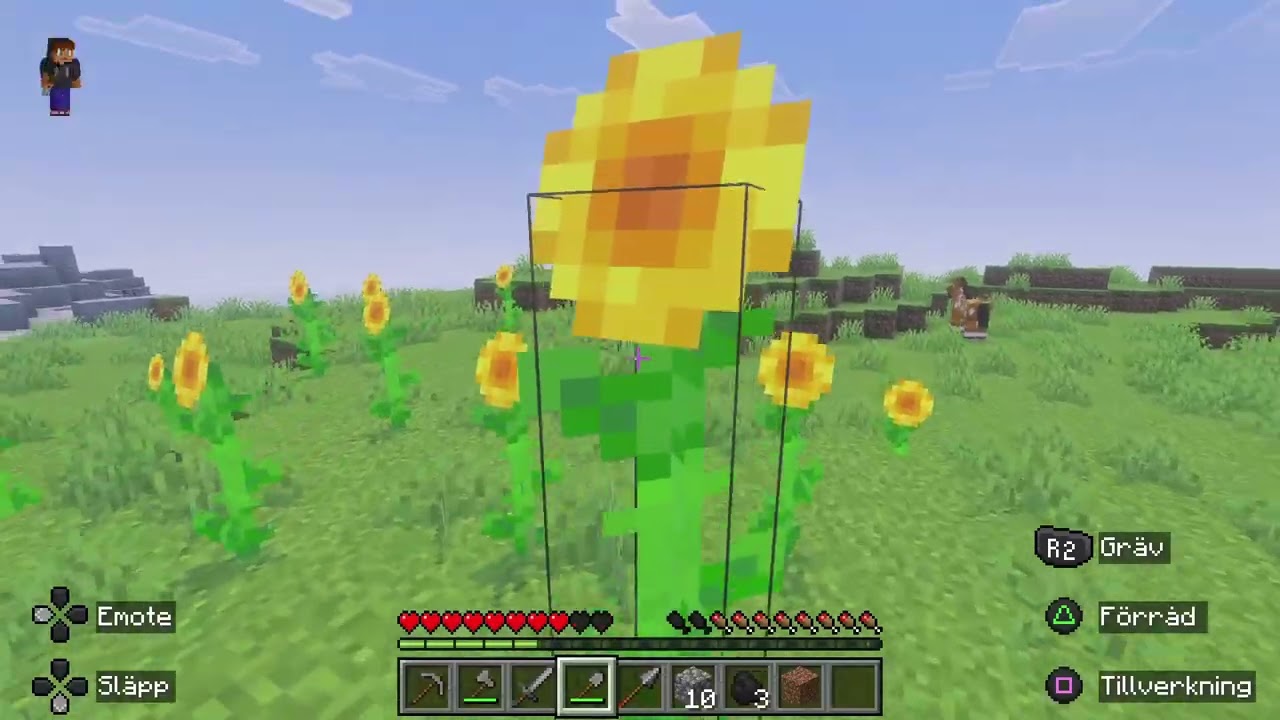 Minecraft del 1