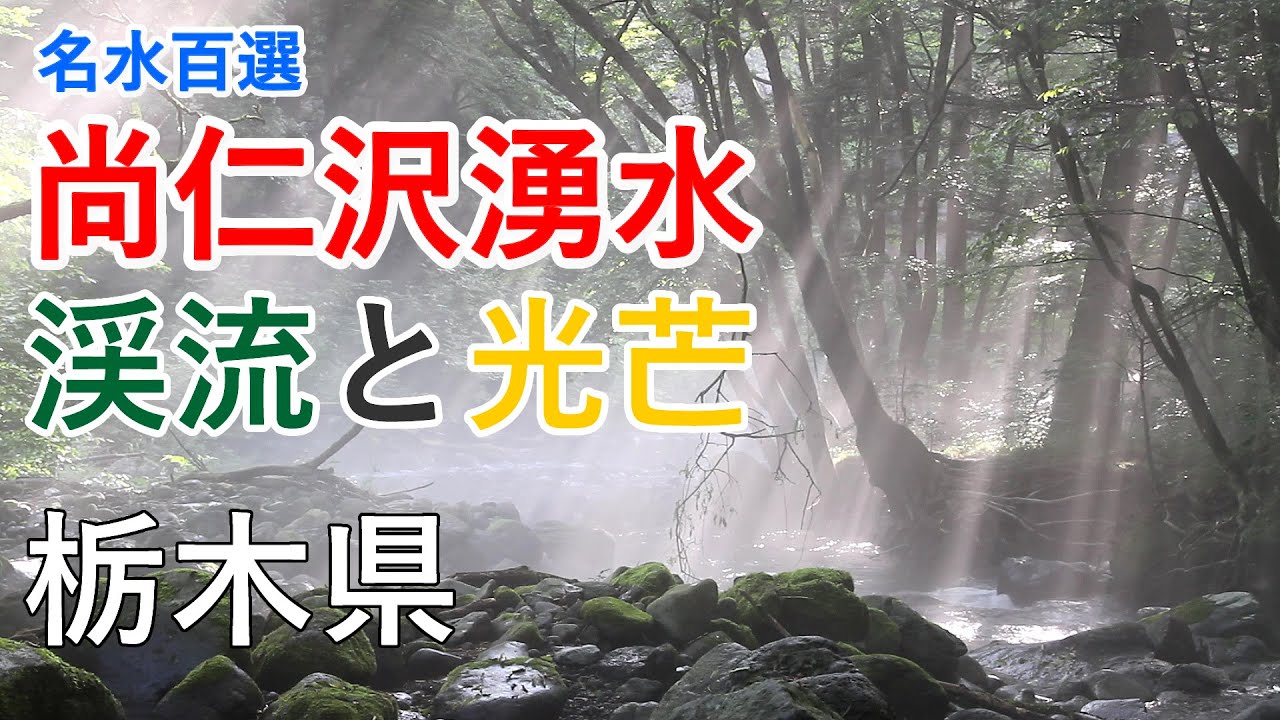 栃木県 尚仁沢湧水（名水百選）の渓流トレッキングと光芒！ / Shojinzawa Spring Water ( Tochigi, Japan )【癒しの水辺】