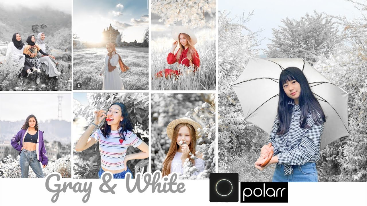Cara edit foto pakai hp || Gray & White Filter || Tutorial Polarr