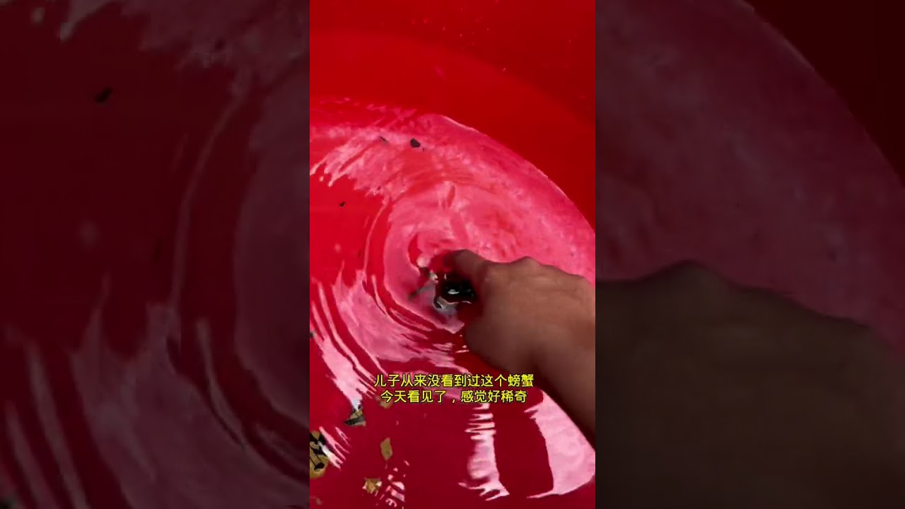 儿子今天精神好多了，没有去打针，谁知道昨天晚上尿床了，把棉被床单都打湿了，全部又来到河里面去洗， 孩子生病好了，我干活也有力气了哈哈#记录真实生活 #宝妈#夏日的农村生活