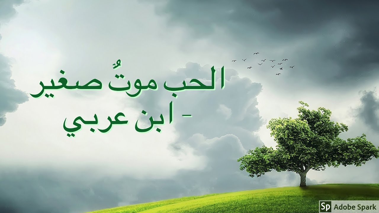الحب موت صغير - أحمد الهاشمي