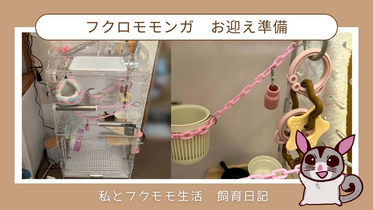 GEXアクリルルーム390highⅡ フクロモモンガ用ケージの組み立て[準備編2]