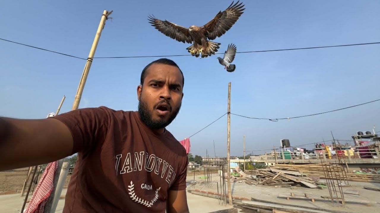 😱😱CHOTI Si BIRD KO EAGLE 🦅 KA KHANA BANNE SE BACHA LIYA🫡