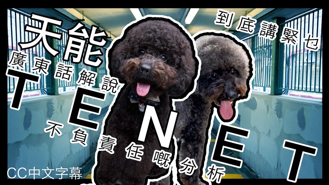TENET 天能｜廣東話電影分析｜到底講乜嘢｜100%完全主觀