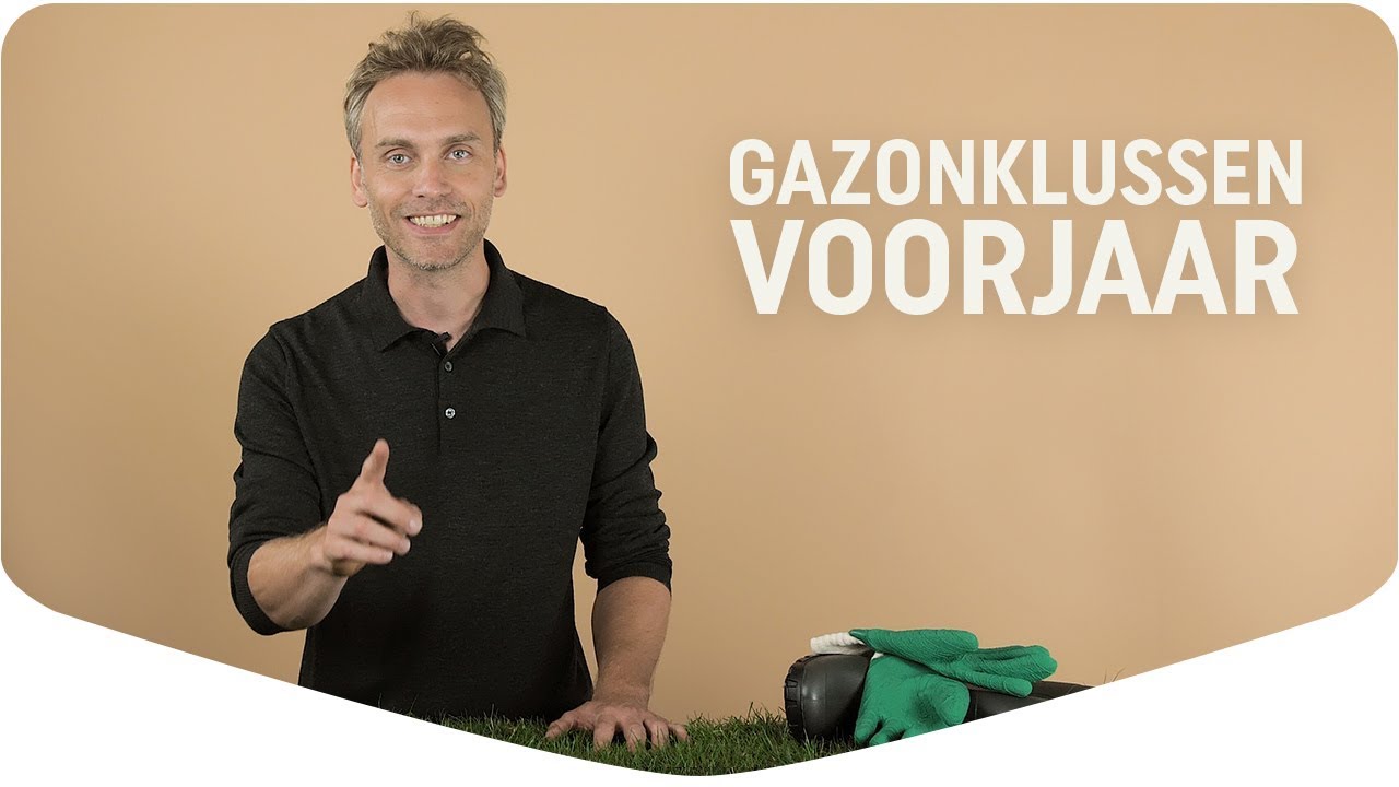Gazon onderhoud in het voorjaar | Pokon