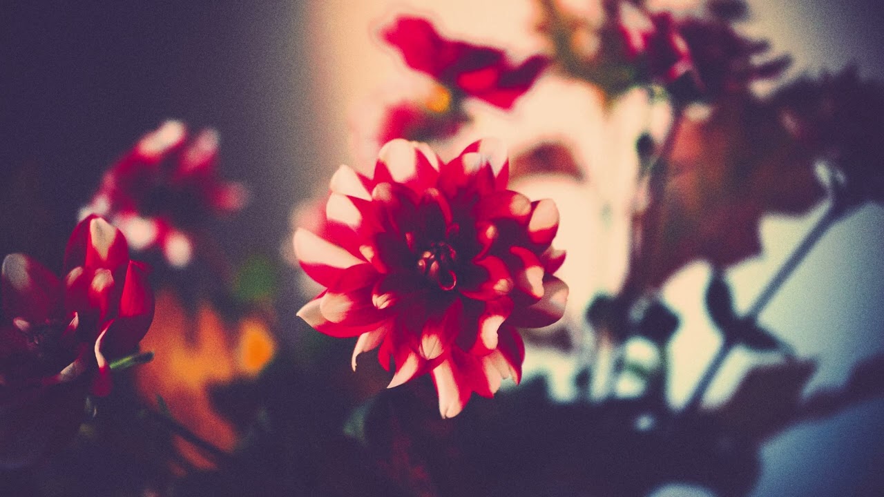 Завистливая ведьма проникла в вашу энергию, притворившись «подругой» через вашего неверного партн...