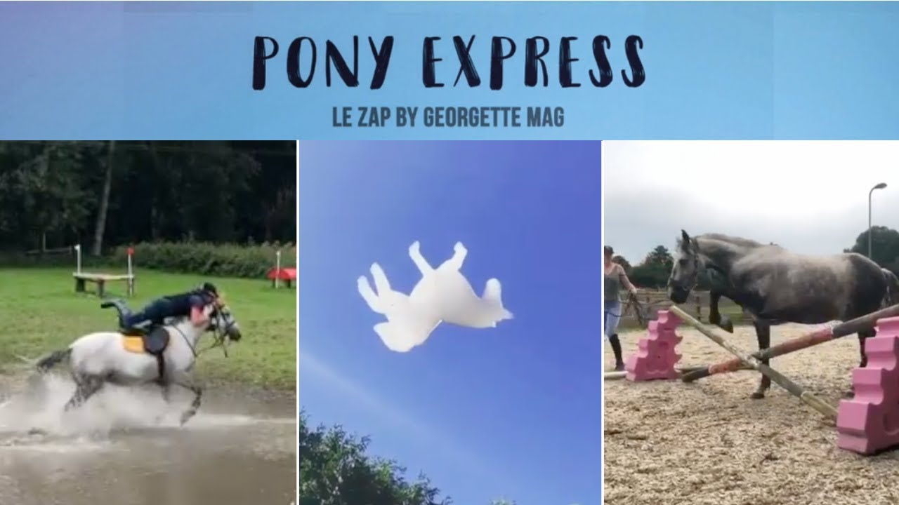 PONY EXPRESS #25 : Un nuage licorne ☁🦄