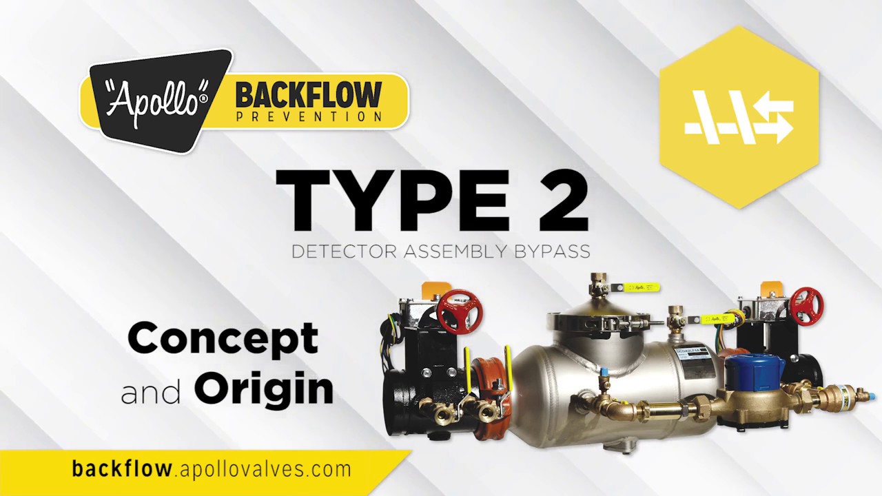 DCDA Type 2 Concept and Origin