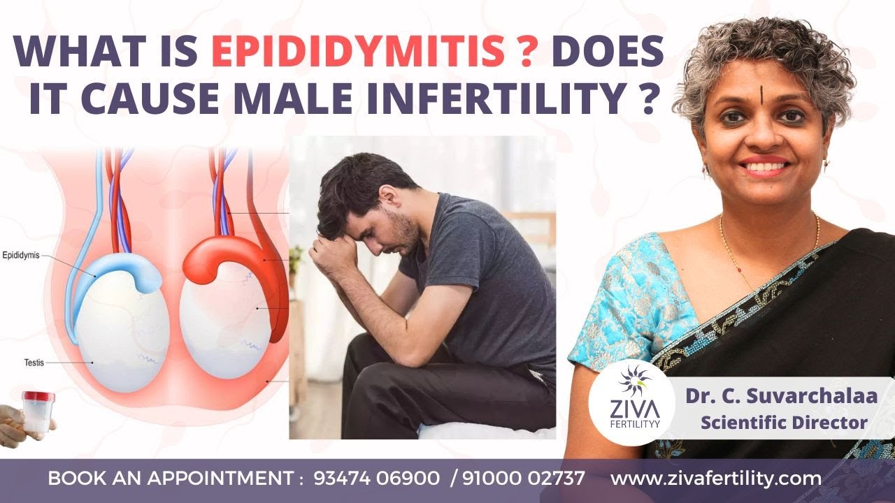 Can Epididymitis Cause Infertility || Dr C Suvarchalaa || Ziva Fertilityy