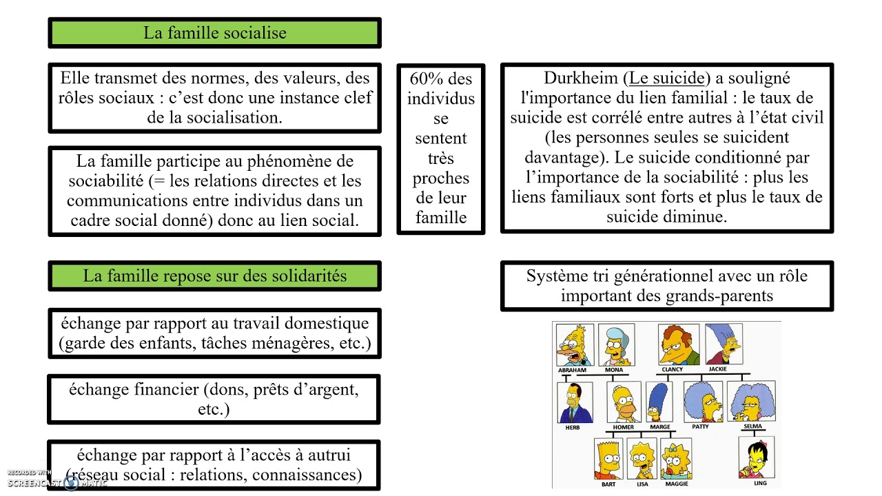 Famille et intégration sociale (SOCIOLOGIE)