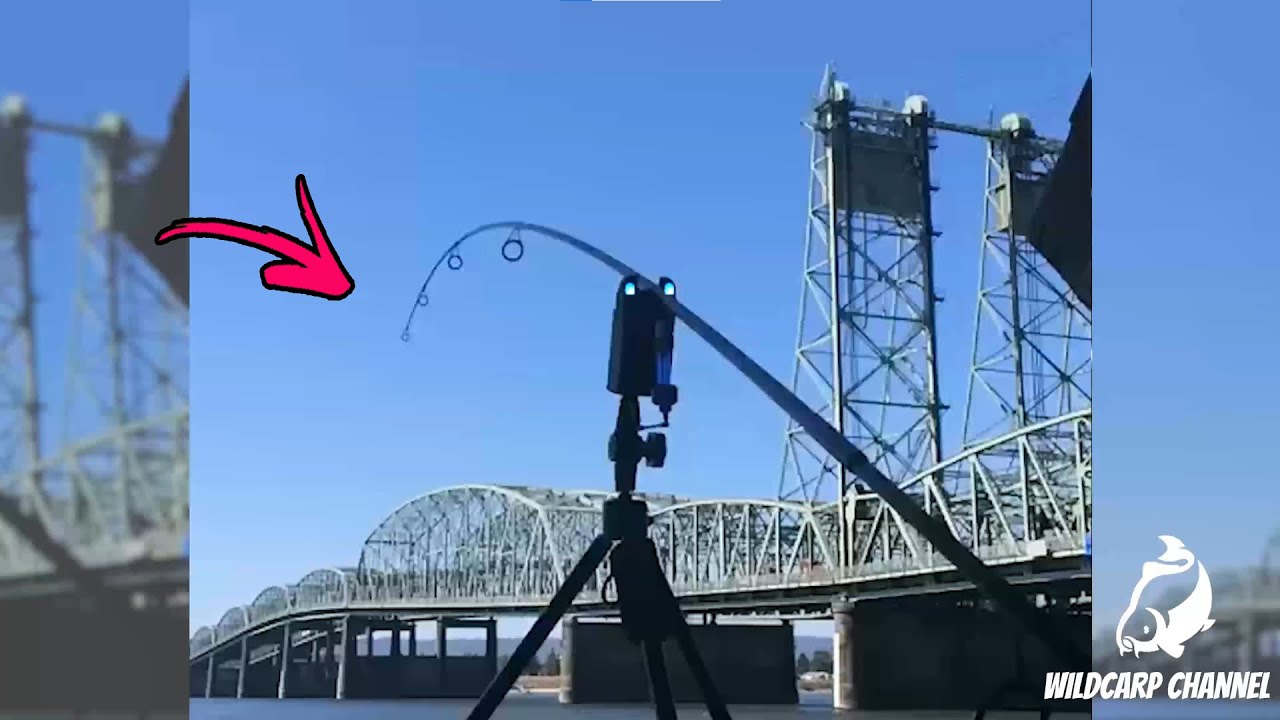 CARP RUN COMPILATION 2022! PART 27!