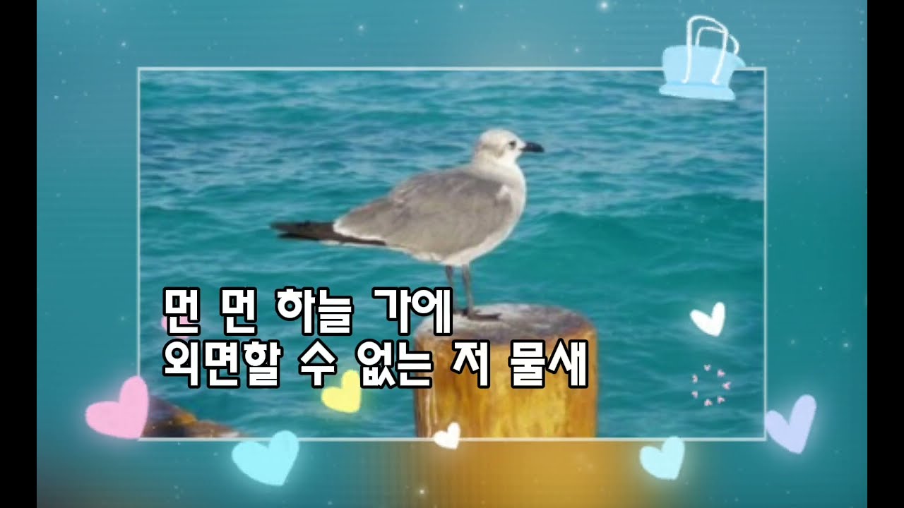 물새-유성윤 시,김규환 곡-테너 팽재유