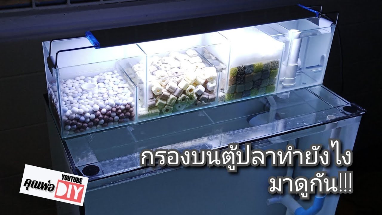 เทคนิคการทำกรองบนตู้ปลา 24