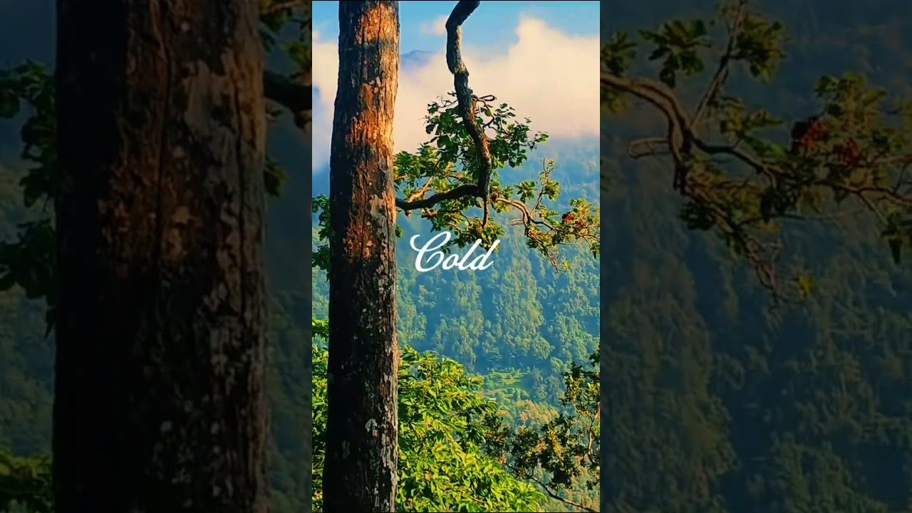 Darjeeling Tour / WebMath #darjeeling