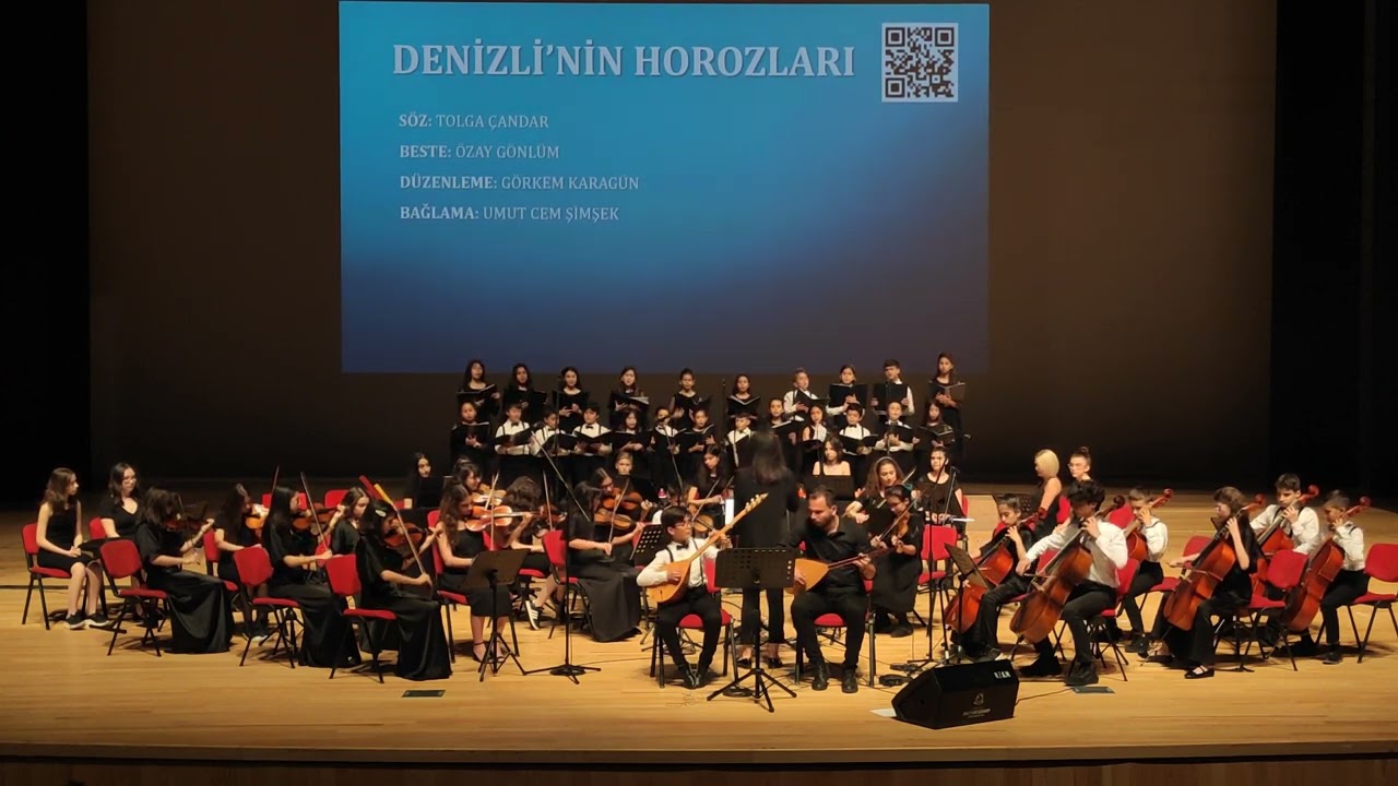 DENİZLİNİN HOROZLARI