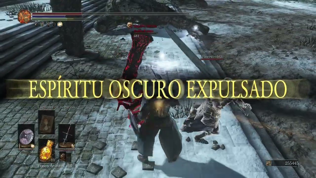 DS3 PVP 영상13