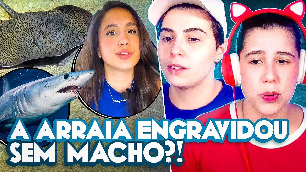 A ARRAIA ENGRAVIDOU SOZINHA?! | ThazzB Hour