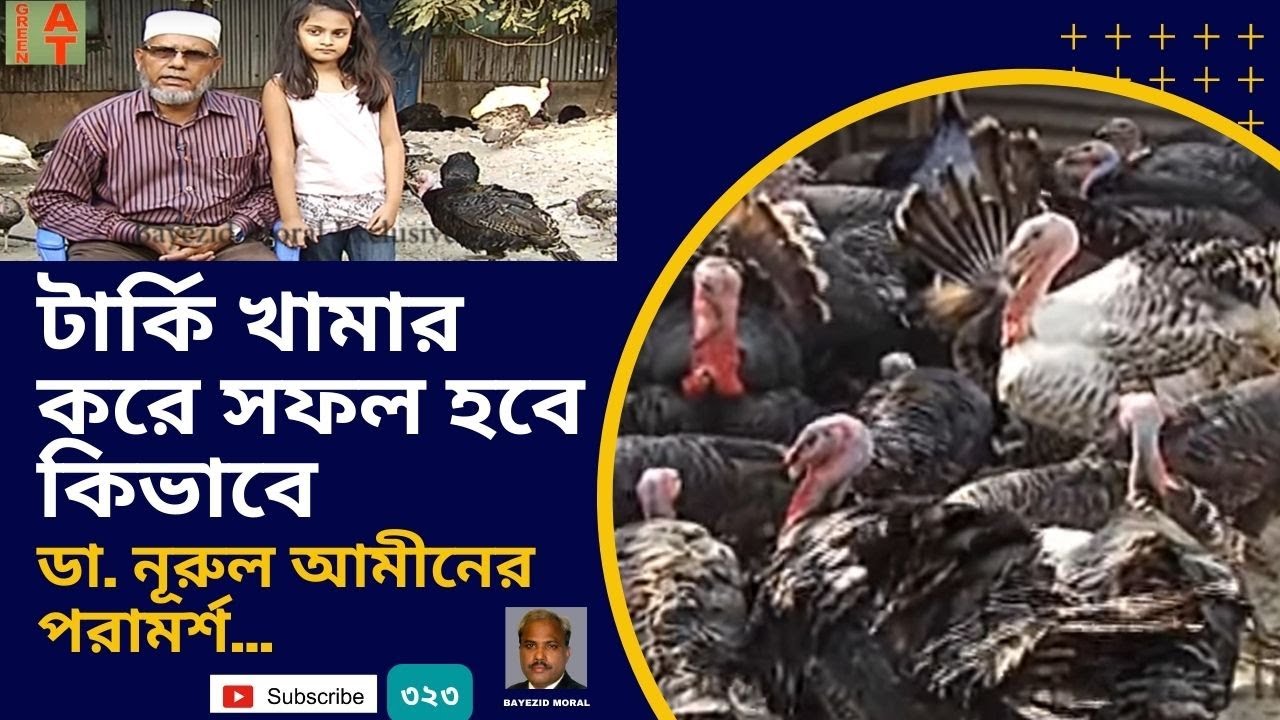 যারা টার্কি খামার করে সফল হতে চান? | ডা. নুরুল আমীনের পরামর্শ | Turkey farming training